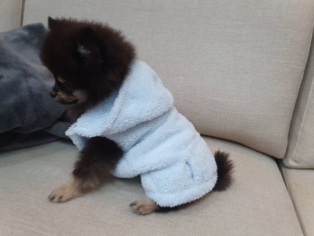 Custom Pet Drying Towel Clothes 4